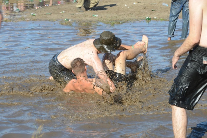 Czy Pol'and'Rock Festival będzie imprezą podwyższonego...