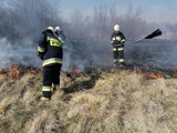 Gorlice. Już 130 wyjazdów do płonących traw. Koszty akcji przekroczyły sto tysięcy złotych. A to jeszcze nie koniec