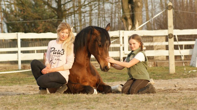 Le Grand Galop. Piknik i zawody w ujeżdżeniu w Wiskitnie