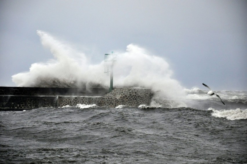 Ostrzeżenie przed silnym wiatrem na Pomorzu
