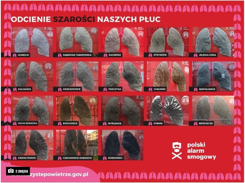 Mobilne płuca Polskiego Alarmu Smogowego pojawią się w trzech miastach w Łódzkiem: Sieradzu, Łodzi i Pabianicach. Kiedy? ZDJĘCIA