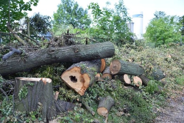 Kara nałożona przez starostwo powiatowe w Namysłowie mocno uderzy w gminną kieszeń miasta.