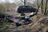 Gigantyczne kary za śmiecenie w lesie. Ministerstwo Środowiska zapowiada walkę z leśnymi śmieciarzami