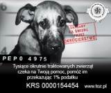 Przekaż na rzecz Towarzystwa Opieki nad Zwierzętami w Polsce  (KRS 0000154454)   1% swojego podatku