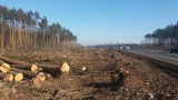 Droga S5 pochłonie tysiące drzew