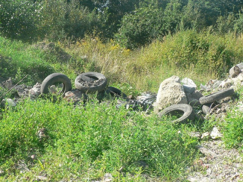 Żory: Dzikie wysypisko śmieci w lesie w Kleszczowie [ZDJĘCIA]