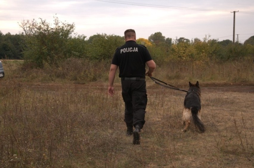 Policja znalazła marihuanę na działce... należącej do męża...