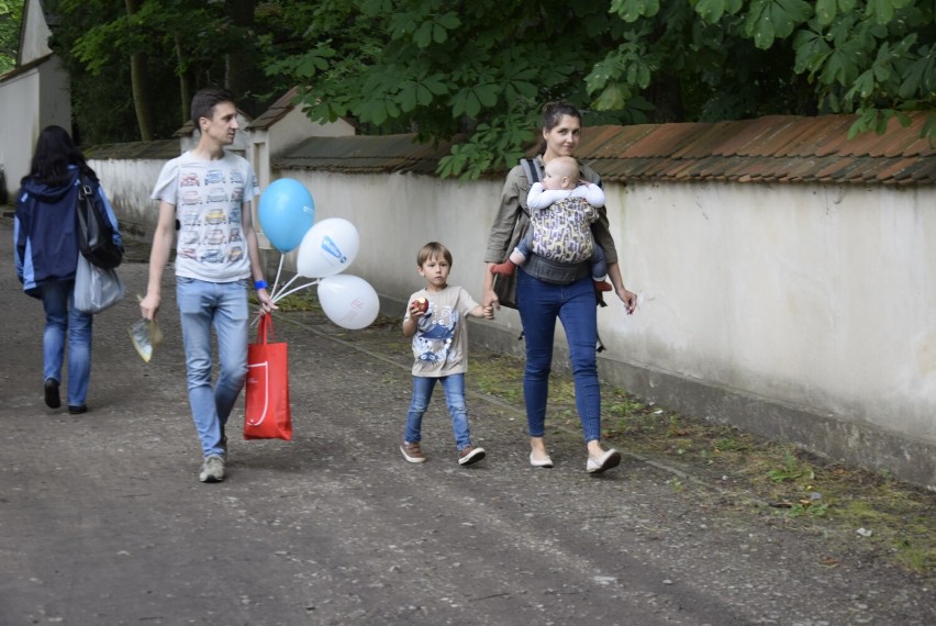 Wojewódzki festyn „Pamiętajmy o ogrodach” w ogrodach pałacu w Nieborowie 