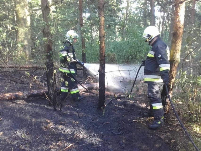 Zastępy z Bukowca i Nowego Tomyśla interweniowały w związku...