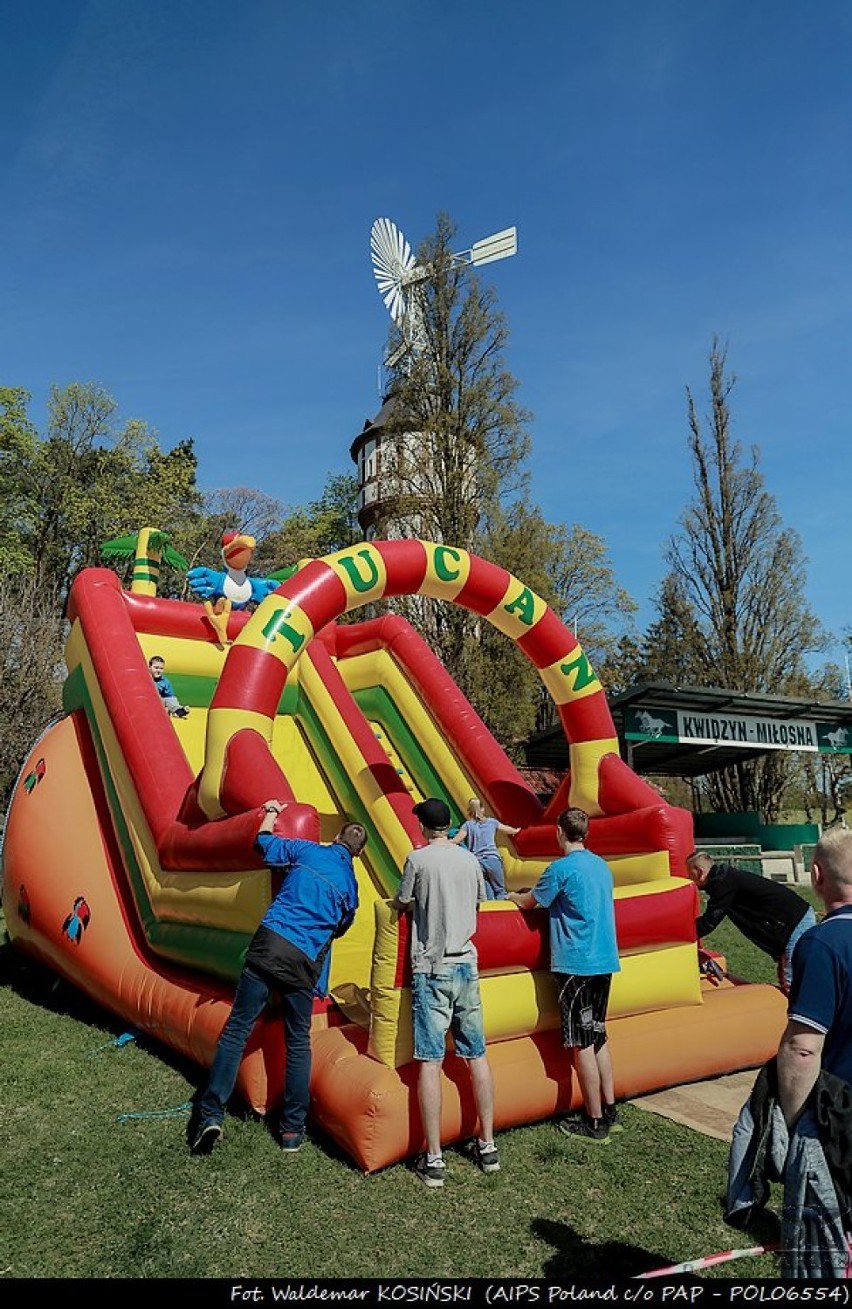 "Razem dla autyzmu". Drugi rodzinny piknik rekreacyjno-edukacyjny na Miłosnej [ZDJĘCIA]