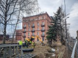 Na terenie młynów przy Przemysłowej w Lesznie drzewo niemal spadło na linię energetyczną ZDJĘCIA I FILM