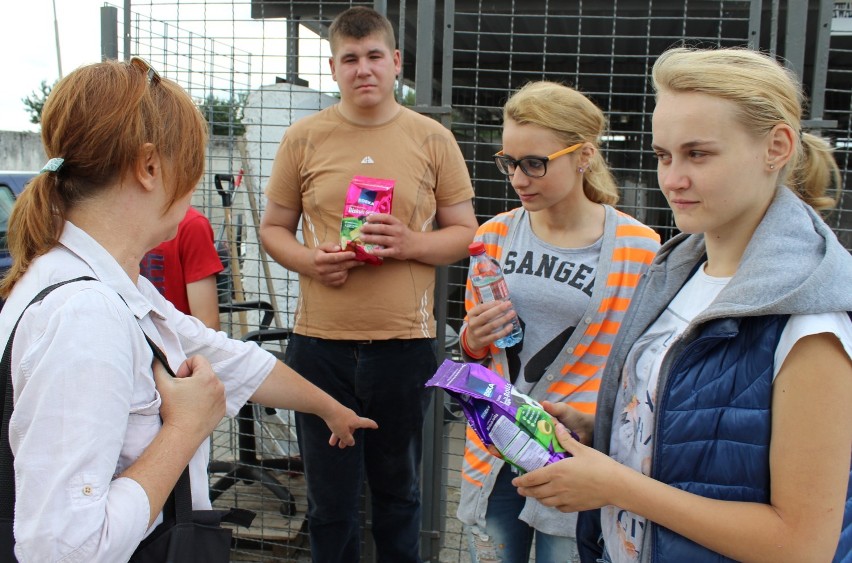 Schronisko dla zwierząt w Nowym Dworze. Zaadoptuj zwierzaka!