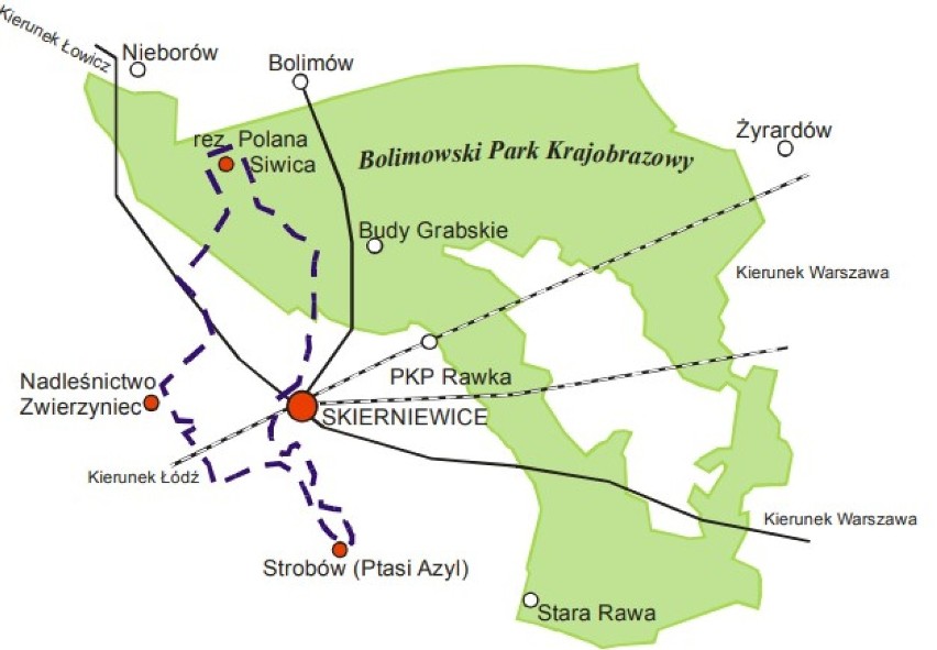 Ptaki okolic Skierniewic
długość 48 km
Skierniewice -...