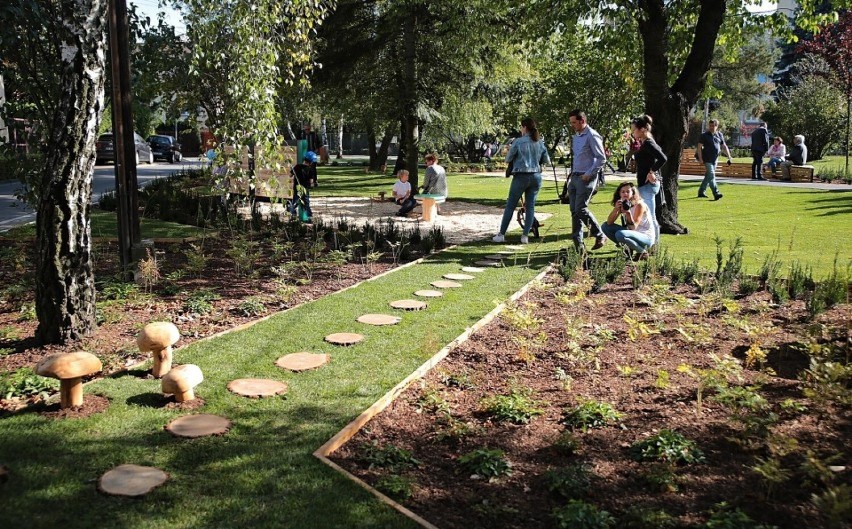 W Pleszewie powstanie pierwszy park kieszonkowy?