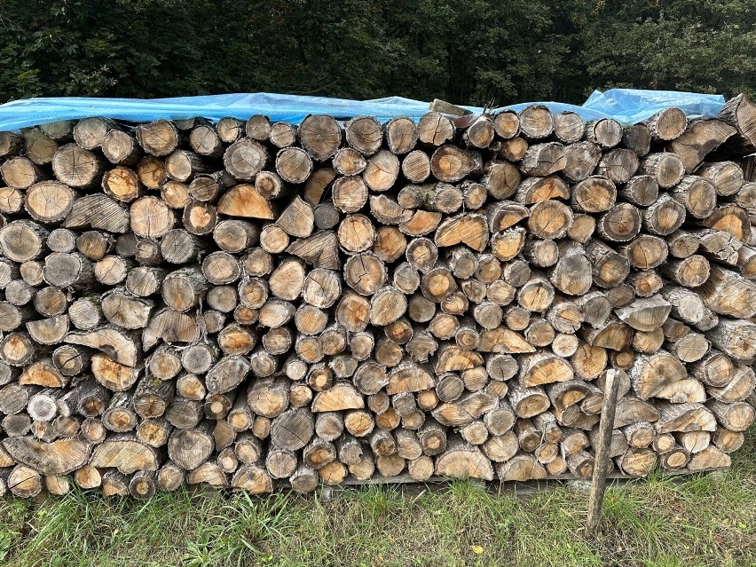 Ceny drewna na koniec 2023 roku