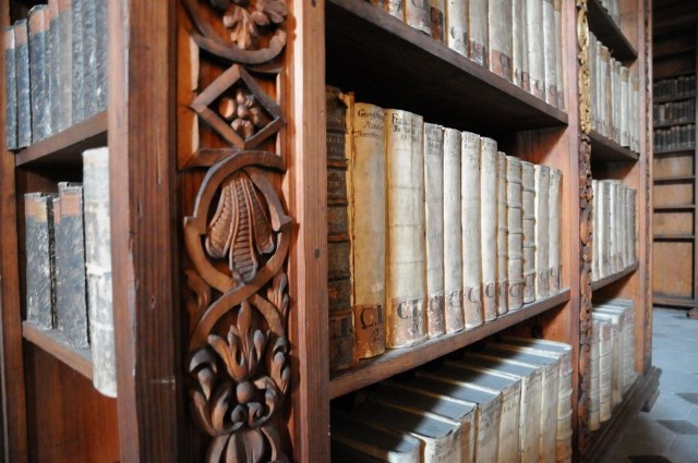 Fragment barokowej biblioteki