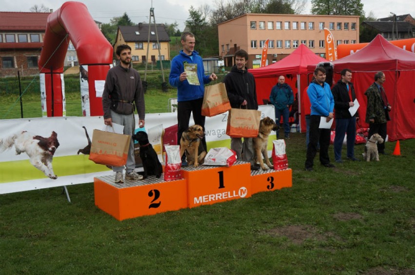 Puchar Polski w Dogtrekkingu Jerzmanowice 2014