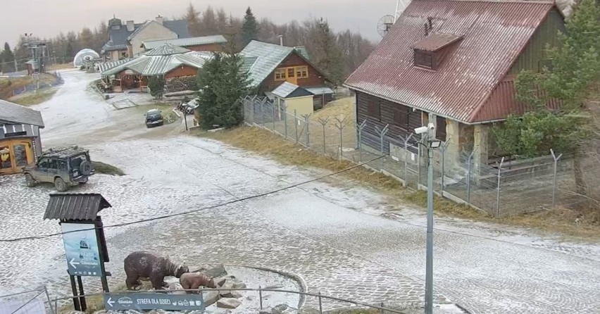 Mamy pierwszy w tym sezonie śnieg na Jaworzynie Krynickiej