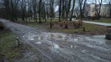 Park miejski w Kaliszu: Auta rozjeżdżają parkowe alejki