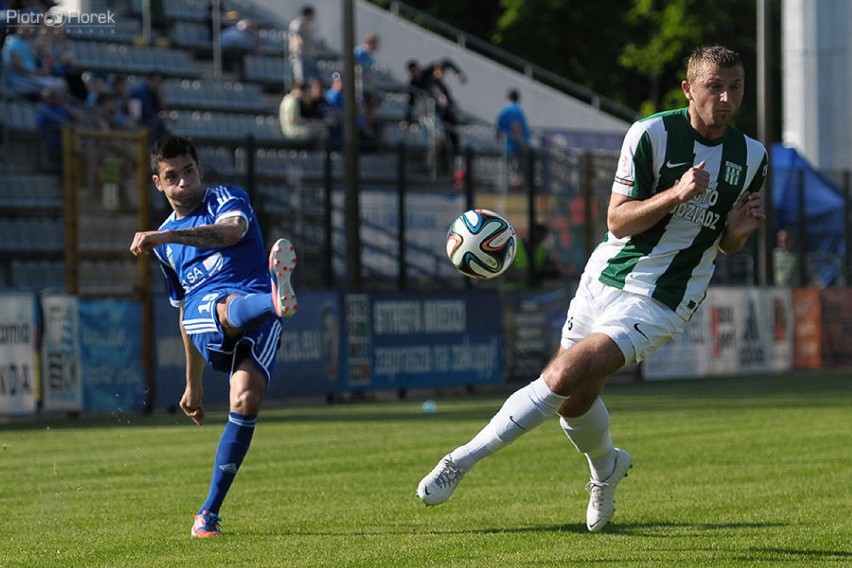 Miedź Legnica - Olimpia Grudziądz 1:0   Fot. Piotr Florek