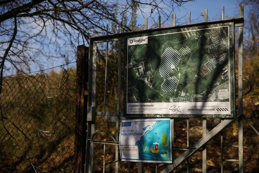 Kraków. Na Zakrzówku powstaje park. Zobacz, jak robotnicy zabezpieczają ściany kamieniołomu [NOWE ZDJĘCIA]