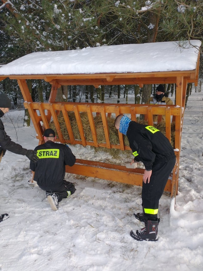 OSP Krzyżówki rozpoczęli zimowe dokarmianie zwierząt i...