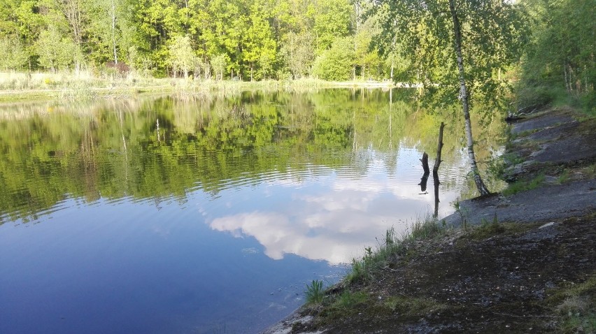 16.05.2020 r. Dolinka Murckowska

Zobacz kolejne zdjęcia....