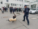 Dzień Kobiet w piotrkowskiej komendzie policji. Tak się bawiły piotrkowianki na warsztatach z policją - ZDJĘCIA