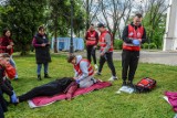 Mistrzostwa rejonowe pierwszej pomocy PCK w Jaśle. Najlepsze Liceum Ogólnokształcące w Kołaczycach