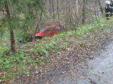 Wypadek w bielskiej Wapienicy. Samochód zjechał z leśnej drogi i uderzył w drzewo [ZDJĘCIA]