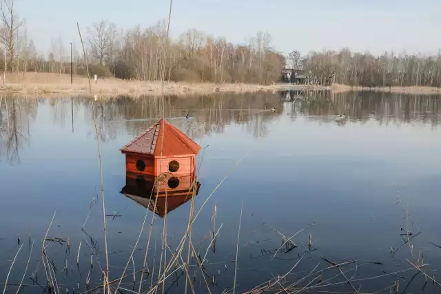 Basen w Kunicach, kiedyś słynne kąpielisko, dziś idealne miejsce na spacery.