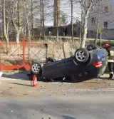 Roczyny, Wieprz. Nadmierna prędkość, ale też i...sarna