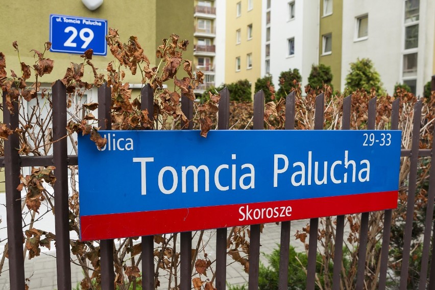 Tomcio Paluch to fikcyjna postać z kręgu europejskiego...