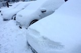 Zima w Lubuskiem nie odpuszcza. Spadł śnieg, jest mróz [ZDJĘCIA]