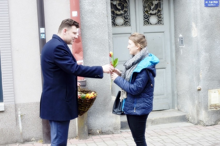 Gorlice. Rafał Kukla, burmistrz Gorlic, z koszem pełnym tulipanów spacerował po mieście