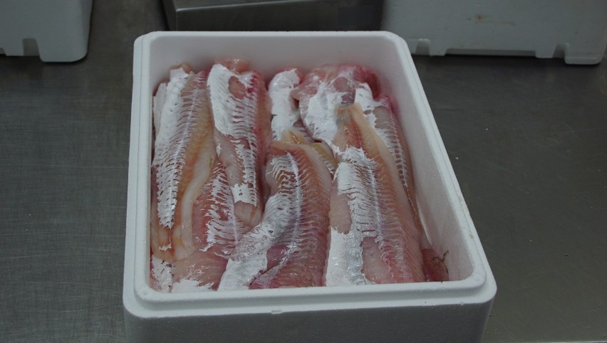 Przetwórcy ryb z Darłowa: ,,Rybakom wstrzymano połowy, a nam surowiec do produkcji" 