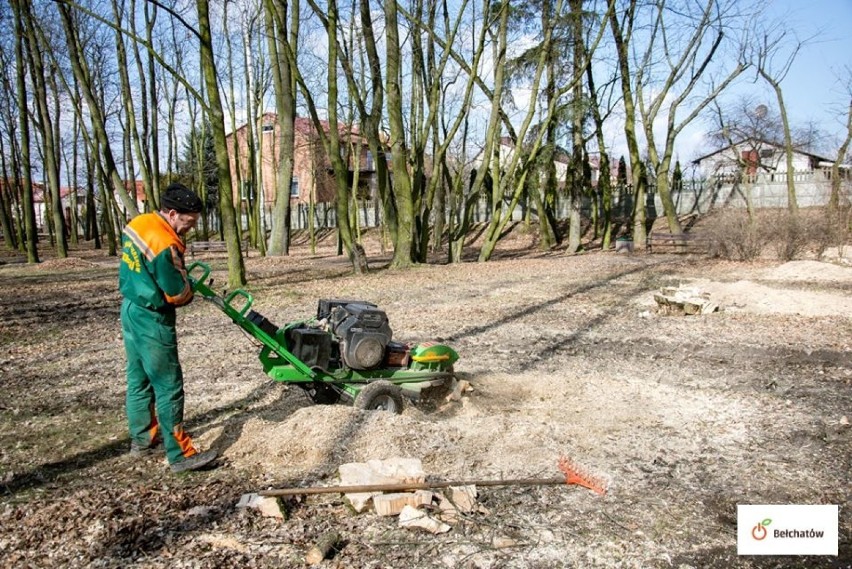 Ruszyły już prace mające na celu realizację projektu...