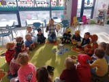 Dzień Postaci z Bajek w Przedszkolu AQQ - Herby w Kielcach. Były gry i zabawy. Dzieci hucznie świętowały to urocze święto. Zobacz zdjęcia