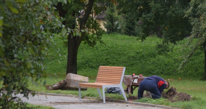 Wymiana ławek i koszy w parku Suble w Tychach