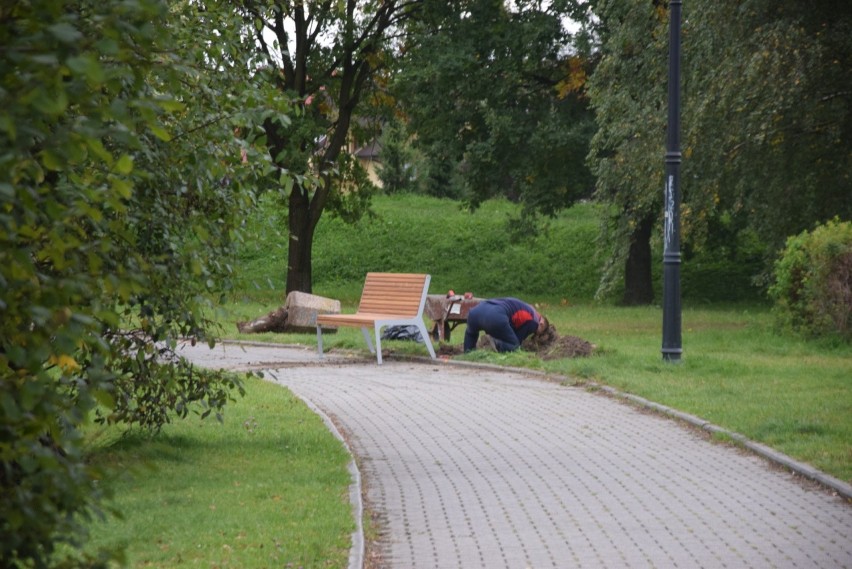 Wymiana ławek i koszy w parku Suble w Tychach