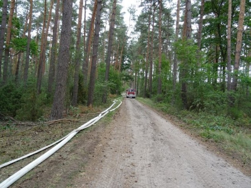 Ćwiczenia strażaków w Mokrzcu