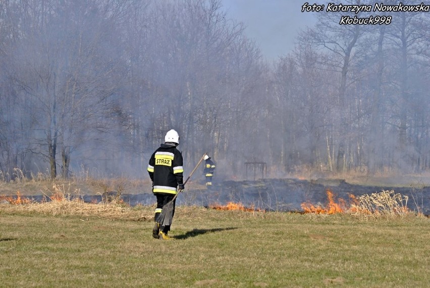 Pożar nieużytków w Dankowicach Drugich [FOTO]