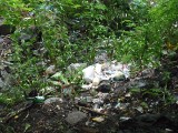 Nasz ekologiczny patrol - Kiedy kolej posprząta wysypisko śmieci przy ul. Katowickiej?
