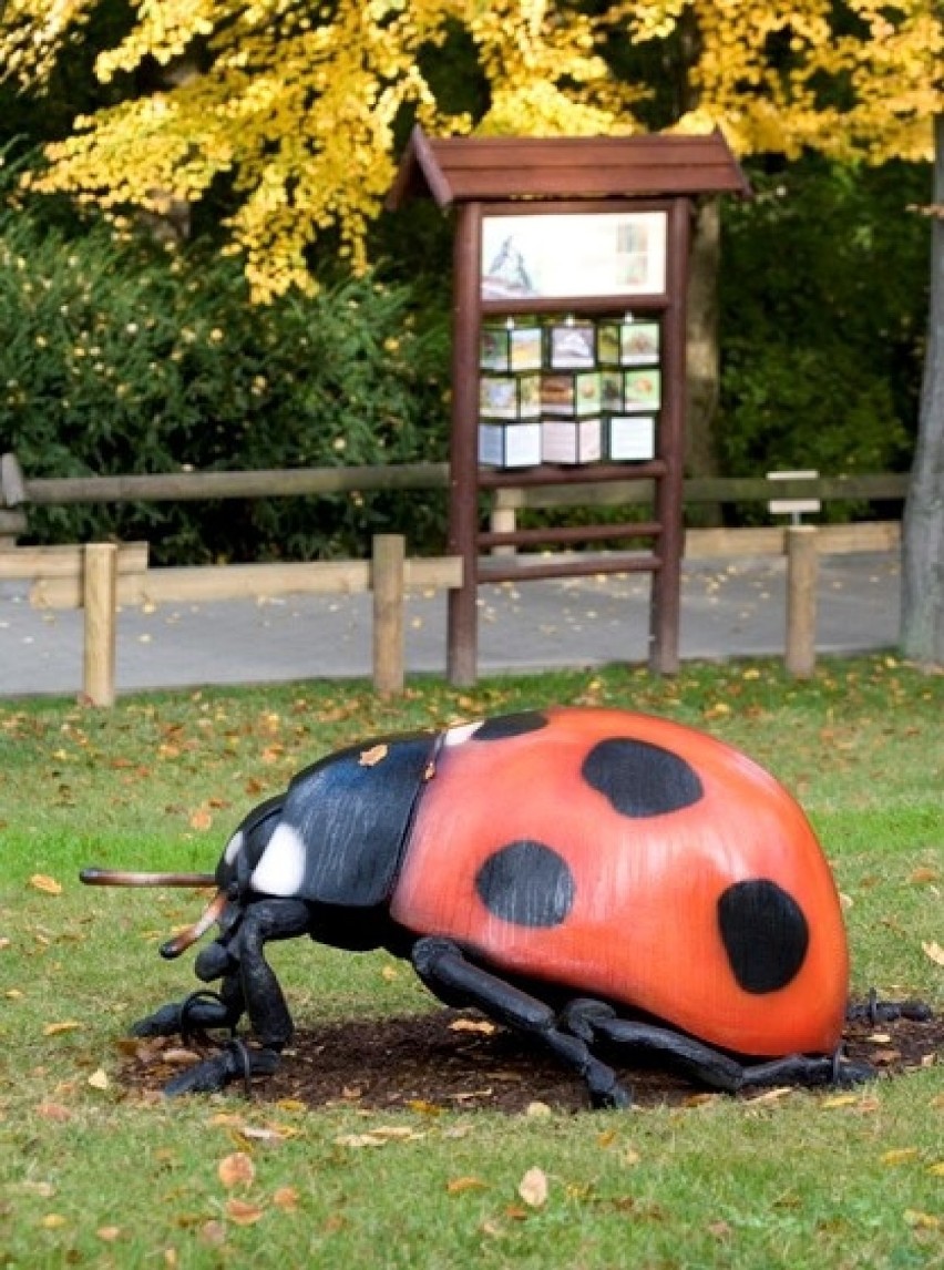 Odwiedzający zoo mogą obejrzeć wielkie owady obok żyrafiarni