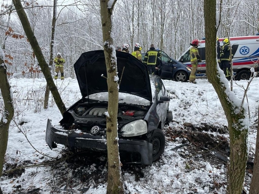 W Jamach pod Grudziądzem auto zjechało z drogi. Młoda kobieta trafiła do szpitala