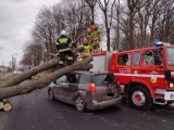 32 interwencji strażaków w niedzielę, a wciąż wieje. Wiatr zrywał dachy, przewracał drzewa...