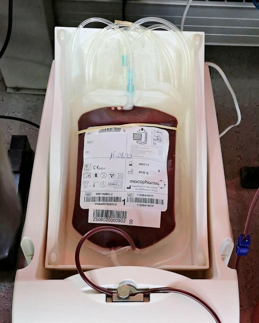 Jak możesz uratować komuś życie jedną decyzją? Akcja krwiodawstwa już w tym tygodniu!