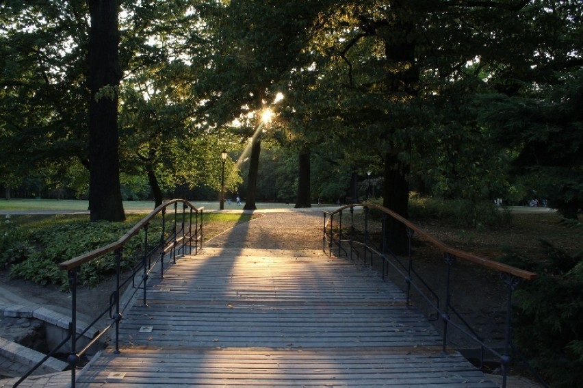 Miejsce spotkania: wejście do parku przy Muzeum...