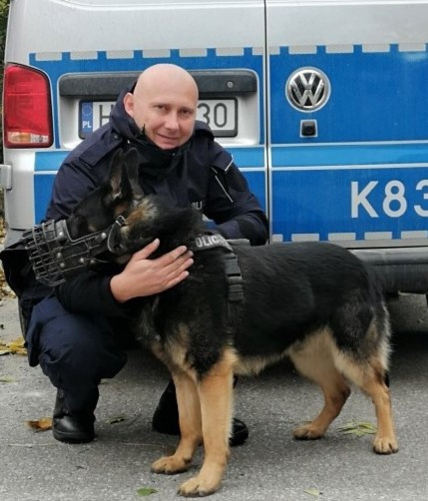 Policyjny pies Luks pomógł w ustaleniu sprawcy włamania do domu w Nowosielcach 