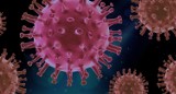 Warianty koronawirusa rozprzestrzeniają się po świecie. Co o nich wiemy?